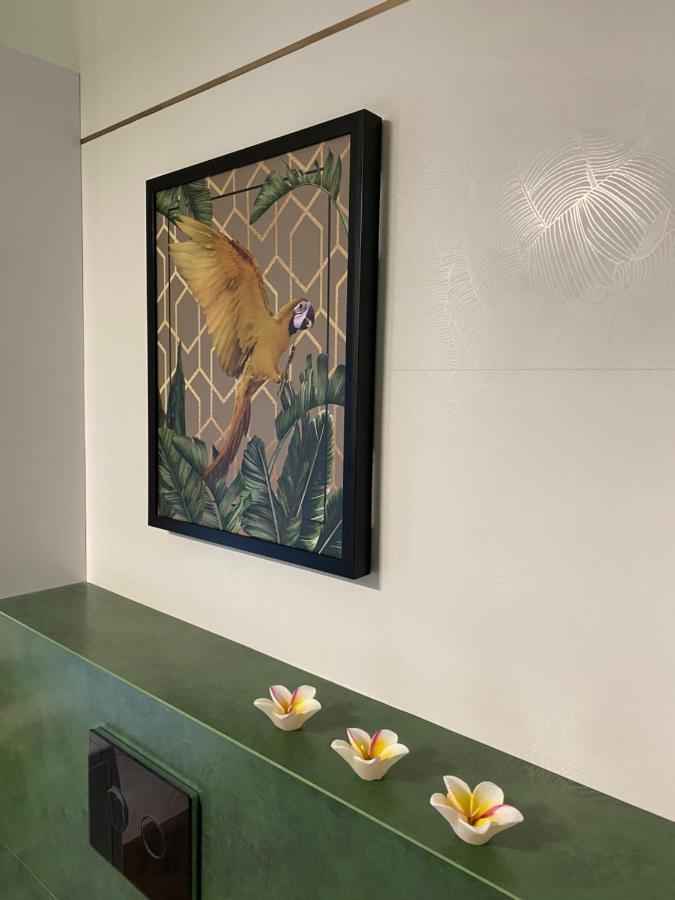 The Urban Jungle - Apartment Garaz Podziemny Κίελτσε Εξωτερικό φωτογραφία